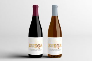Presentada a nova colleita de viño da EVEGA, elaborado con castes autóctonas galegas