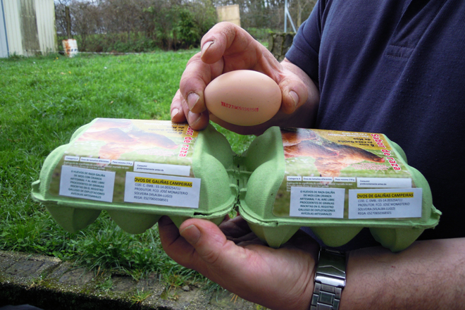 Os ovos que produce Monasterio baixo a marca Aves do Concello teñen unha caducidade de 28 días