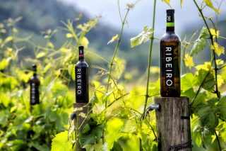 Webinar sobre uso de lévedos autóctonos para diferenciar os viños do Ribeiro