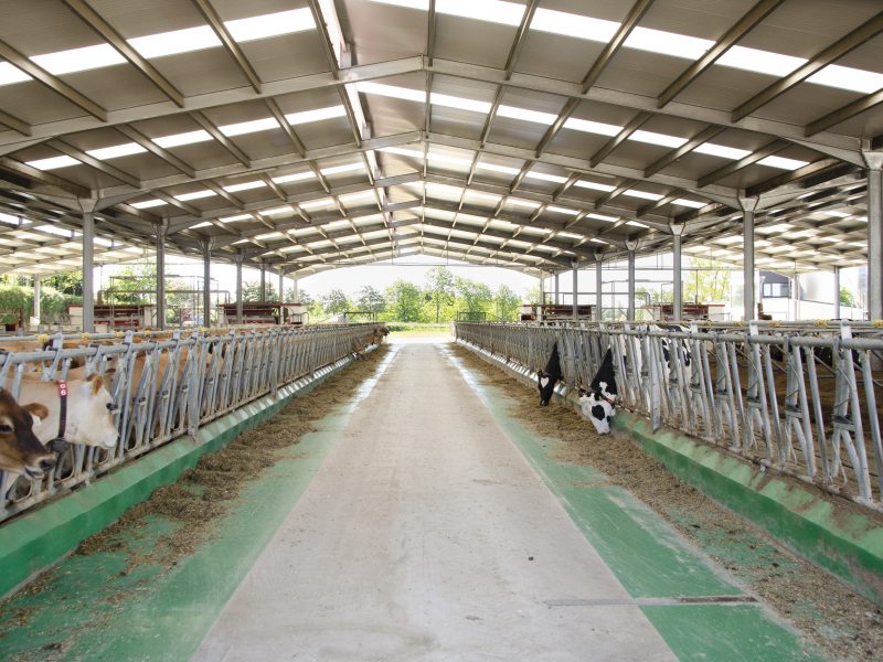 A industria láctea prevé unha Galicia coa metade de granxas e máis produción de aquí a dez anos
