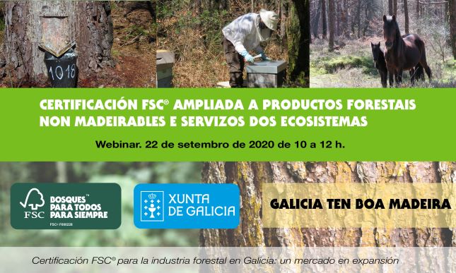 Webinar sobre certificación de produtos forestais non madeirables e servizos dos ecosistemas