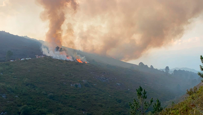 Dez colectivos urxen medidas para frear a degradación dos montes afectados polos lumes