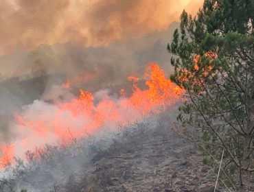 O Plan de prevención de lumes contempla actuar en máis de 58.600 hectáreas e case 5.800 quilómetros de viais neste 2022