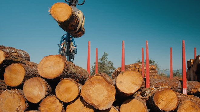 camion cargando pino cortas madeira