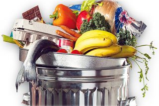 O desperdicio de alimentos nos hogares frea o seu crecemento