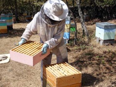Beneficiarios das axudas de apicultura 2022