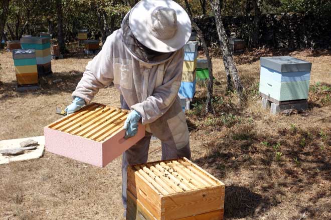 Beneficiarios das axudas de apicultura 2022