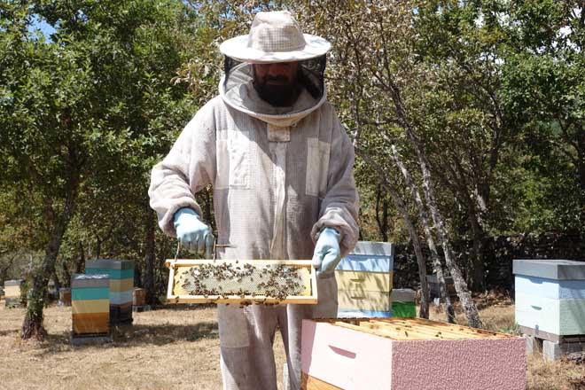 “Cando botei a vista ó campo, vin que a apicultura era do máis modular que había para emprender”