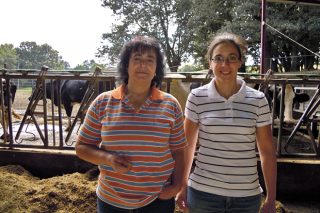 San Martiño SL, relevo en feminino nunha gandería que moxe 235 vacas
