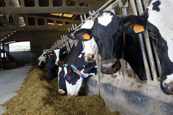 Jornada sobre el buen manejo de las ganaderías lácteas en Monforte