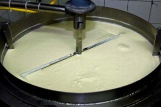 A Aula de Produtos Lácteos imparte un curso sobre elaboración de iogur e leites fermentados