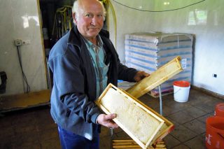 Mel Rural: Pioneiros en producir mel ecolóxico en Galicia