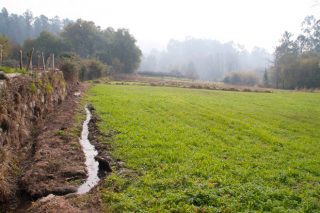 Como se xestiona a auga nos sistemas de rega tradicionais galegos?