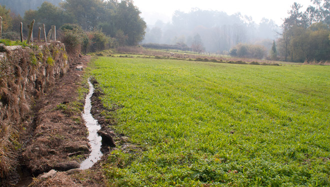 ¿Cómo se gestiona el agua en los sistemas de riego tradicionales gallegos?