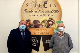 Coren compra 4,7 millóns de quilos de castaña galega para a súa gama de porco Selecta
