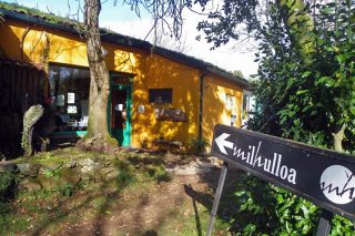 Milhulloa, 20 anos recuperando as plantas mediciñais galegas
