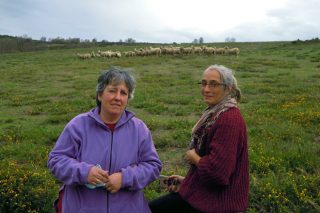 SAT Salgueiriña, unha explotación mixta de cabras e ovellas para coidar do monte comunal