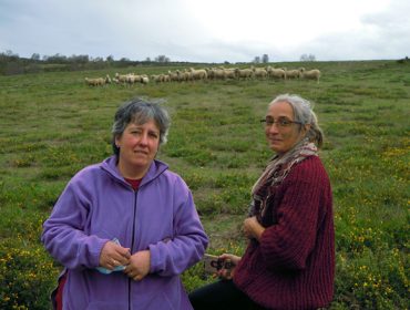 SAT Salgueiriña, unha explotación mixta de cabras e ovellas para coidar do monte comunal