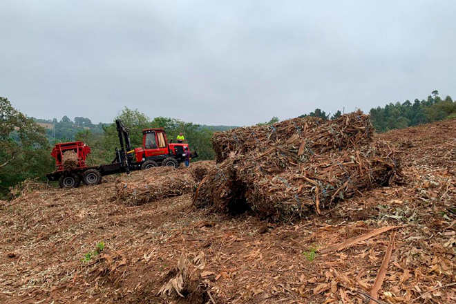 ‘Sure’: unha nova certificación para a biomasa