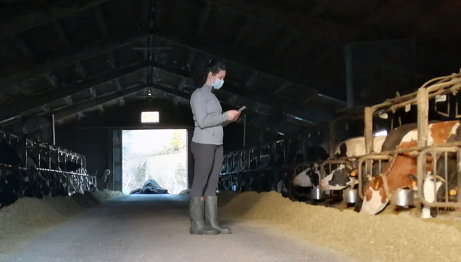 Nova ferramenta de xestión para rabaños pequenos de vacún de leite: UNIFORM-Repro Pocket