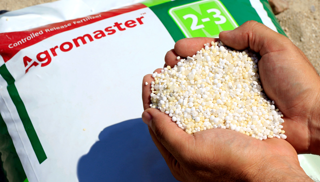 Agromaster, un fertilizante para garantir a nutrición e crecemento uniforme de froiteiras e cultivos leñosos