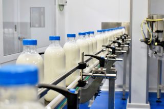 O prezo medio do leite situouse en febreiro en 0,52 euros o litro na UE e en 0,58 en España