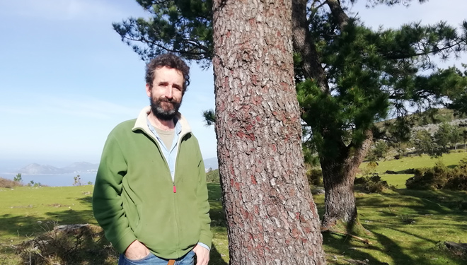 “En Galicia hay mucha cabida para el pino en montes donde las frondosas tendrían dificultades”