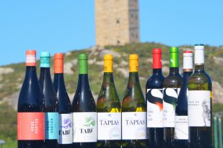 Claves para entender os cambios na etiquetaxe do viño