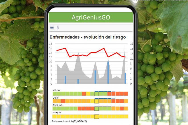 BASF presenta Agrigenio Vite by Horta: A nova ferramenta que axuda ao viticultor