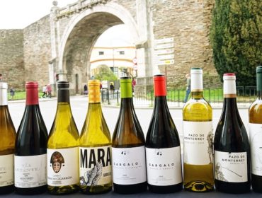 A DO Monterrei promociona en Lugo os seus viños  con profesionais de hostalaría e restauración