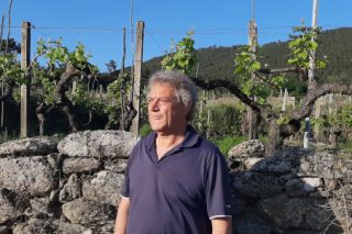 “O sector do viño galego coxea en viticultura, en coñecer e coidar os solos da viña”