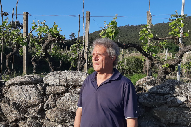 “El sector del vino gallego cojea en viticultura, en conocer y cuidar los suelos de la viña”