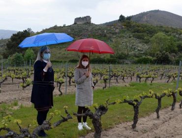 A DO Monterrei propón crear un centro vitivinícola orientado ao enoturismo