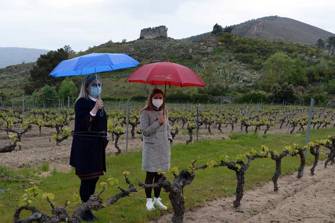 A DO Monterrei propón crear un centro vitivinícola orientado ao enoturismo