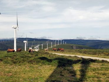Que factores poden frear a instalación dun parque eólico en Galicia?