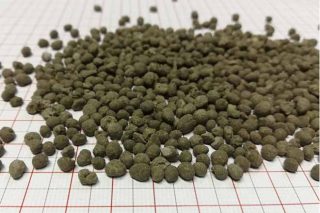 Caliza magnesiana granulada, unha opción para mellorar a nutrición do millo