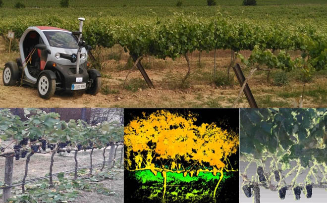 Terras Gauda participa en un proyecto europeo para robotizar parte de los trabajos en la viña
