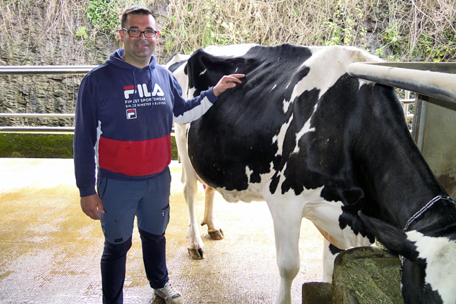 Bonet xunto a Mática, unha vaca de 8 partos que suma 5 cualificacións de Excelente