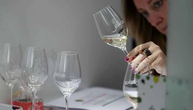 Resultados de las catas de los vinos y aguardientes de Galicia 2021