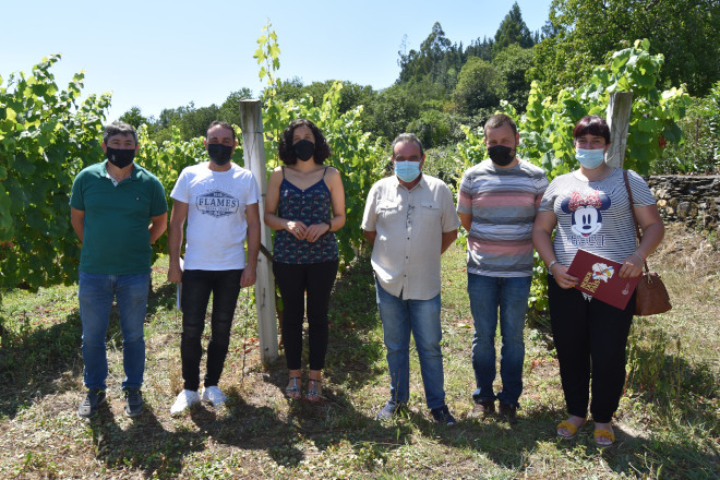 Ofrécese formación para persoas que se queiran incorporar á viticultura nas Terras do Navia