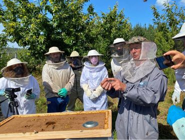 Cría de raíñas, a experiencia do recoñecido apicultor francés Gilles Fert