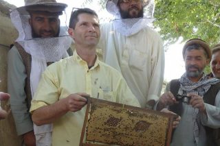 Gilles Fert, un referente mundial en apicultura, impartirá cursos este fin de semana en Galicia