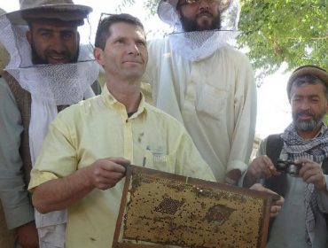 Gilles Fert, un referente mundial en apicultura, impartirá cursos este fin de semana en Galicia