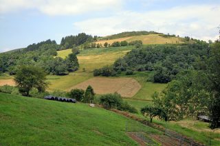 Récord de compravenda de terra agraria no ano 2021 en Galicia