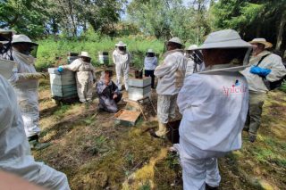 Curso de iniciación á apicultura na EFA Fonteboa