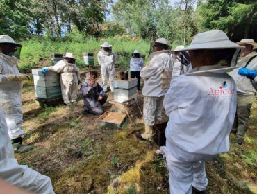 Curso de iniciación á apicultura na EFA Fonteboa
