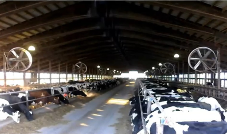 Explotación leiteira do Estado de Michigan, onde hai unhas 1.000 granxas