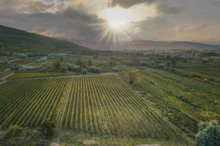 Axudas económicas para promocionar o viño galego fóra da Unión Europea