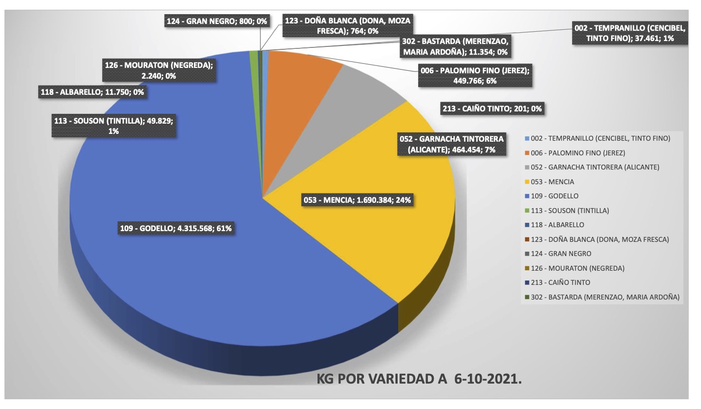 Datos vendima 2021 na DO Valdeorras