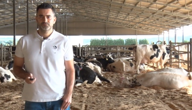 Claves para o manexo das vacas secas nas ganderías de vacún de leite